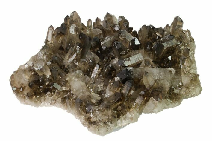 Dark Smoky Quartz Crystal Cluster - Brazil #137840